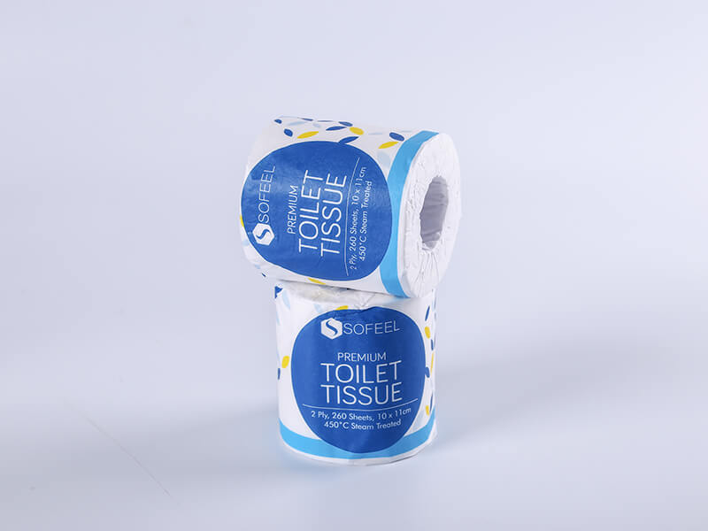 2ply Toilet Tissue/Toilet Roll/Bathroom Tissue with Paper Wrapper Packages